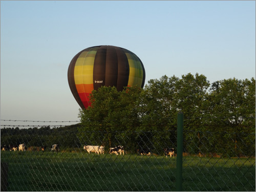 Ein Heißluftballon landet in Deesem