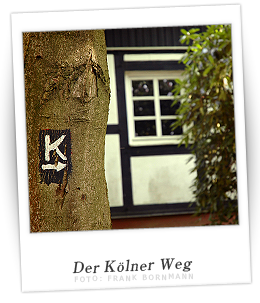 Polaroidfoto Kölner Weg