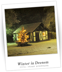 Winter in Deesem
